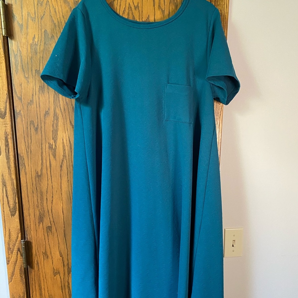 LuLaRoe Carly Dress NWOT